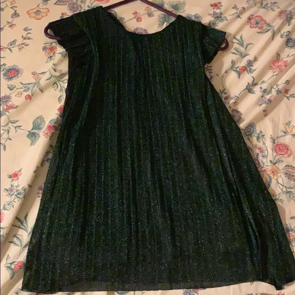 Zara dress